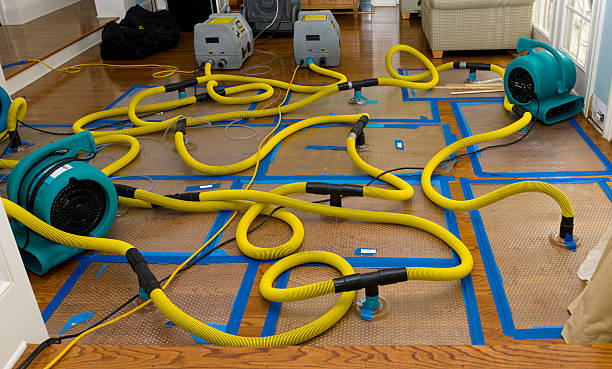 Professional Crawl Space Water Removal technician working in Lynchburg, OH